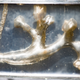 A silicon cast of a kidney. (Image: G.L. Kohuth, Michigan State University)